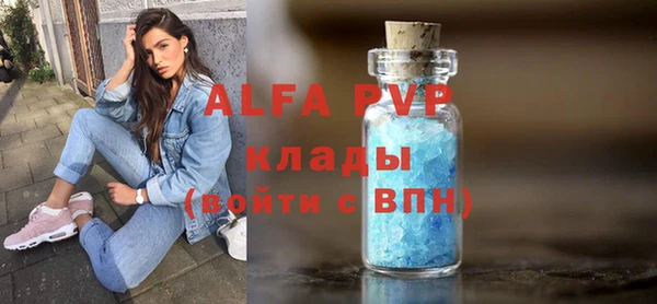 прущие грибы Зерноград