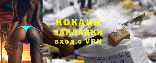 прущие грибы Зерноград